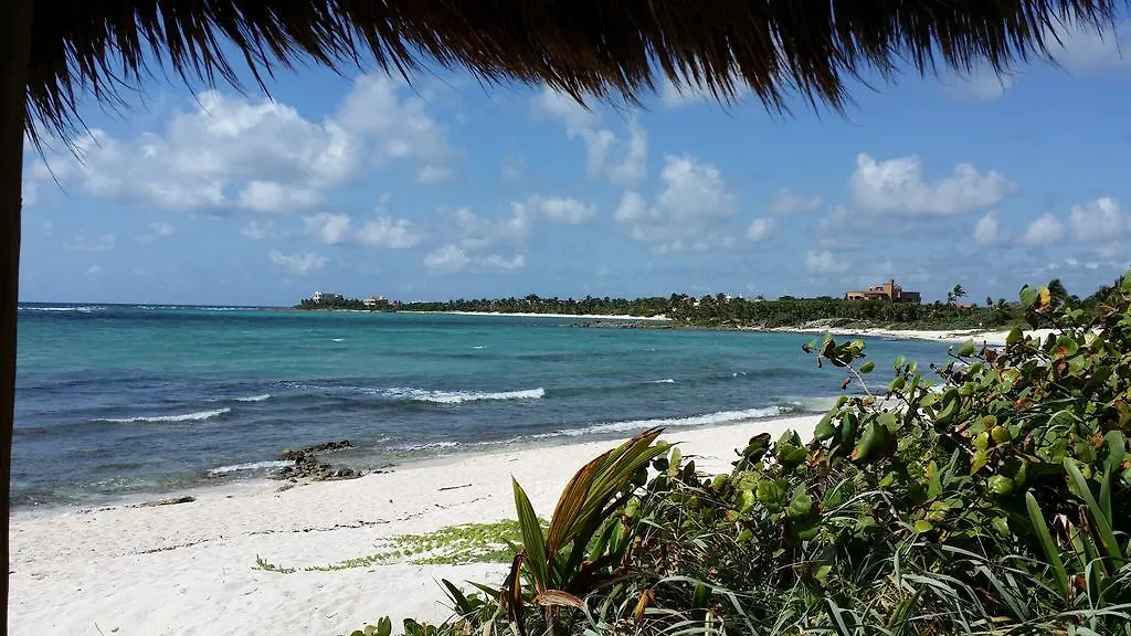 Tao Condo In Tulum Country Club-Bahia Principe, Screened Corner Balcony, Beach And Golf Club Access Akumal Apartment